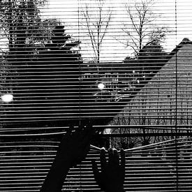 Christine Janse Profile picture