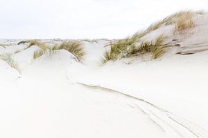 Dunes of Texel by Judith Borremans