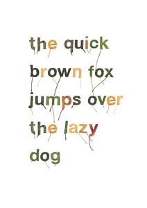 Quick brown fox blad letters van Twan Van Keulen
