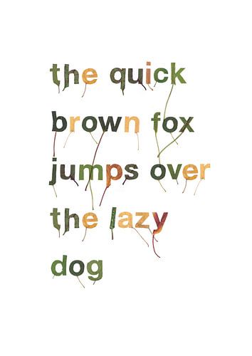 Quick brown fox leaf letters