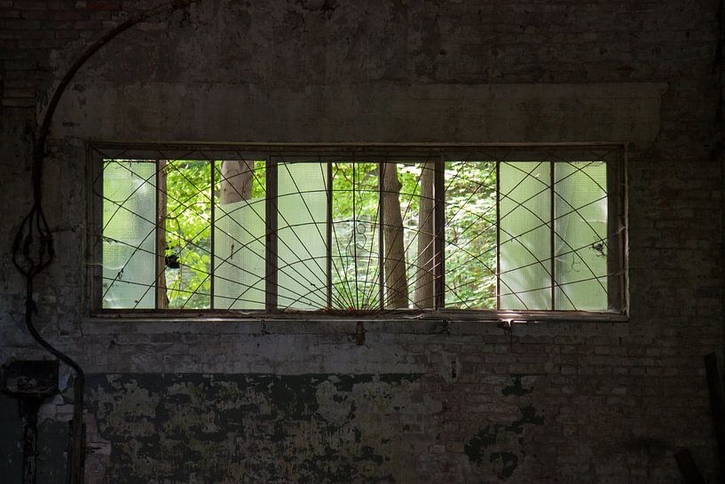 Uitkijk in de tuin van Sander van Leusden