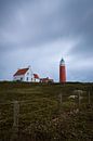 Texel-Leuchtturm von Kevin IJpelaar Miniaturansicht