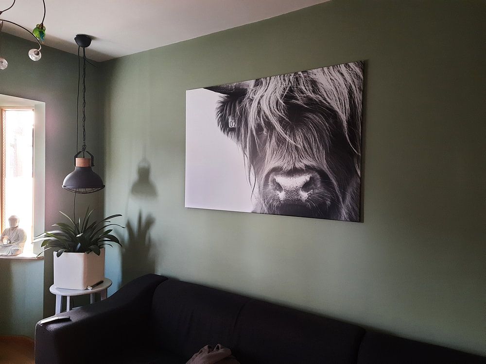 Portret Schotse Hooglander zwart-wit  van Sandra van Kampen 