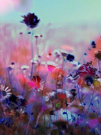 Die Felder XXXII von Zand