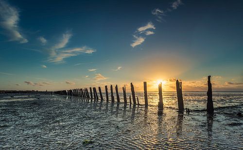 Paaltjes op het Wad