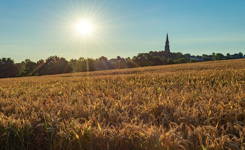 Zonsopkomst boven Vijlen (Limburg) von Domenique van der Horst