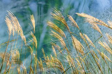 breath of fresh air in the countryside by Eugene Winthagen