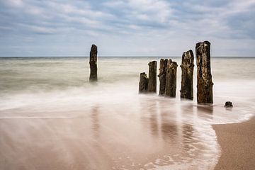 Groynes on shore of the Baltic Sea by Rico Ködder