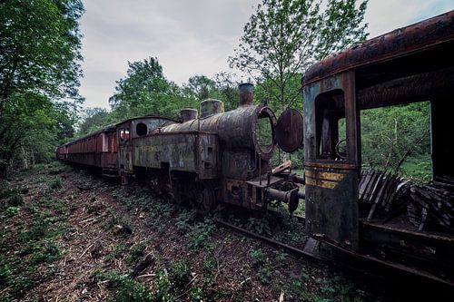 Urbex stoomtrein verlaten in het bos