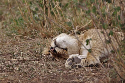 Dormir à poings fermés