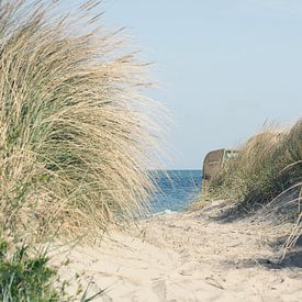 Pad naar het strand van Andreas Berheide Photography