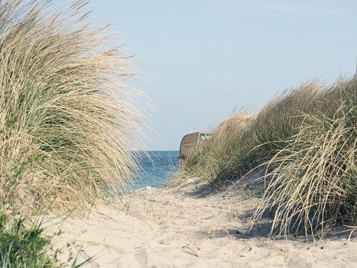 Pad naar het strand