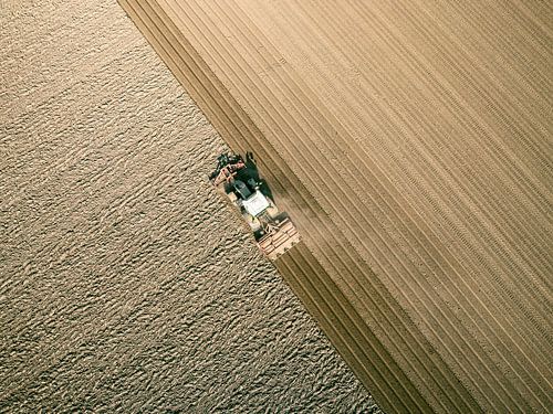 Tractor maakt de grond klaar voor het planten van gewassen