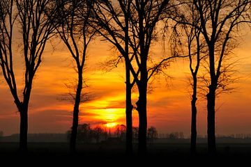 Herfst Zonsondergang achter de bomen van Sjoerd van der Wal