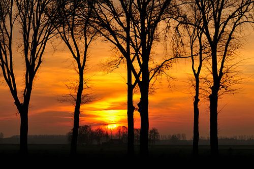 Herfst Zonsondergang achter de bomen