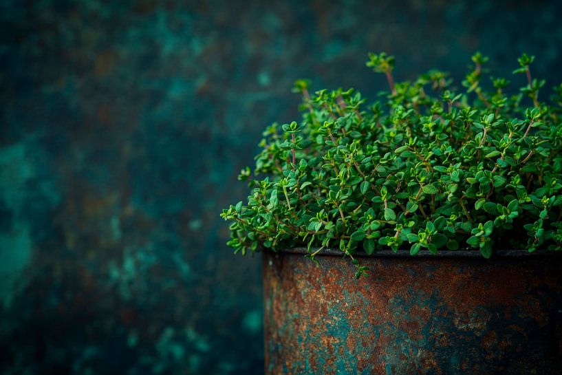 Herb pot by Poster Art Shop