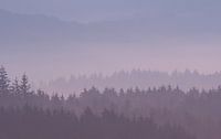 Eifelmist