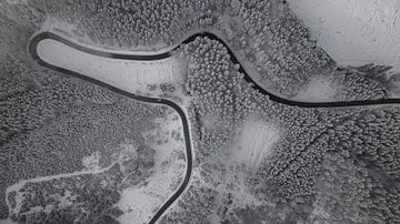 Drone image of a snowy forest landscape by Adrian Meixner