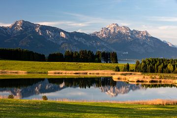 View over the Illersbergsee (Forggensee) towards Neuschwanstein with reflection