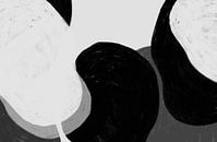 Scandinavië Organisch Abstract Zwart Wit van Mad Dog Art thumbnail