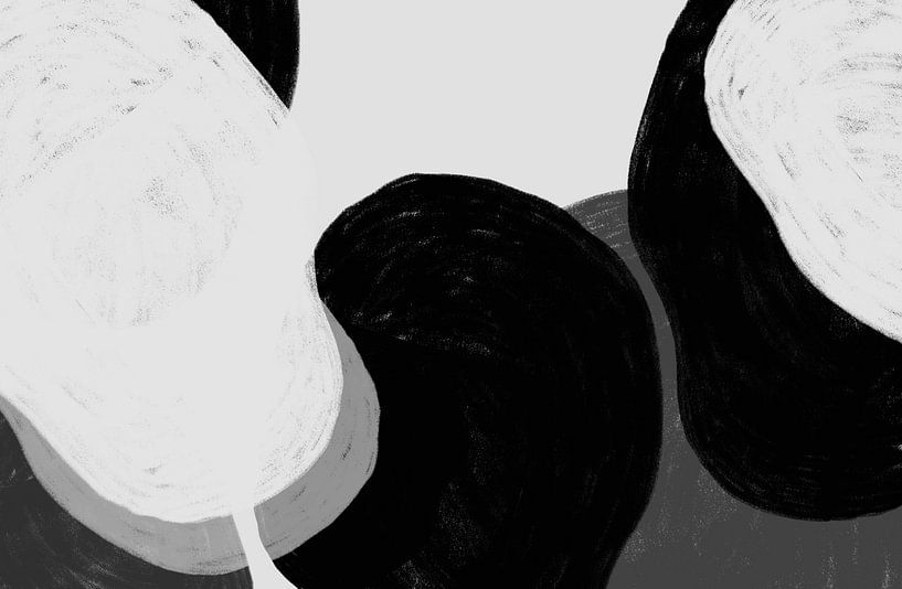 Scandinavië Organisch Abstract Zwart Wit van Mad Dog Art