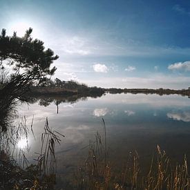 View over a large pond by Sjoerd van der Hucht