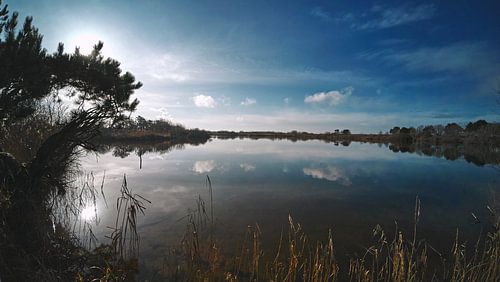 Uitzicht over een grote vijver van Sjoerd van der Hucht