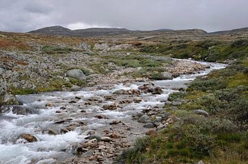 Dovre Nationaal Park van Karin Jähne