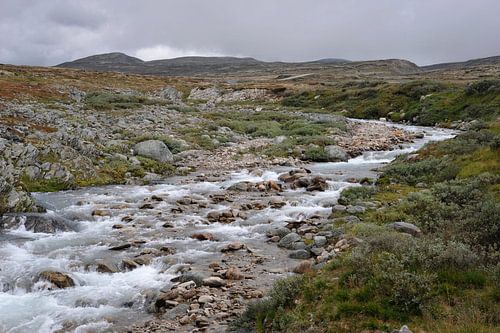 Dovre Nationaal Park