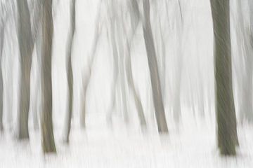 Fester Schneeschauer im Buchenwald von Cor de Hamer