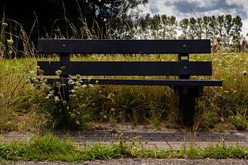 Nature by Sarah De Keyser