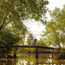 Brug over de Mekongrivier van Gijs de Kruijf