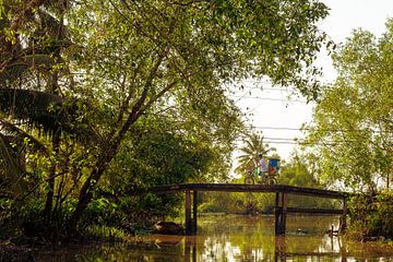 Brücke über den Mekong-Fluss von Gijs de Kruijf