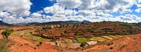 Madagaskar panorama akkerlandschap von Dennis van de Water Miniaturansicht