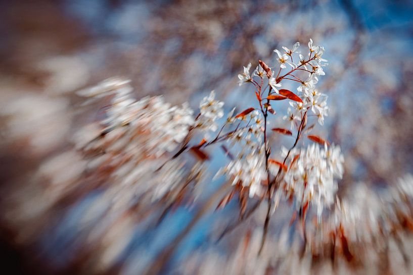 Happy Energy by Hiske Boon