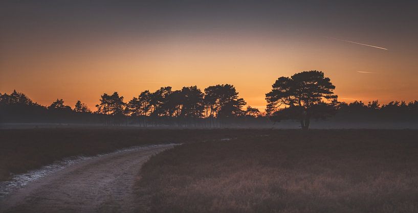 Wezepsche Heide von S van Wezep