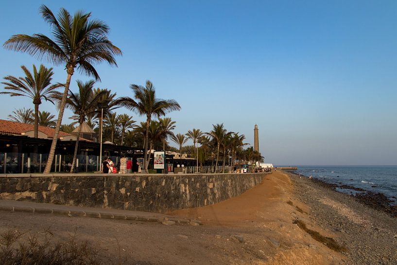 Maspalomas, îles Canaries par Helga van de Kar