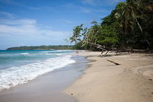 Karibikküste bei Manzanillo (Costa Rica)
