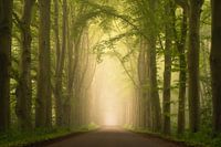 Spring Road