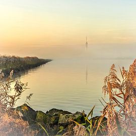 Golden hour on the IJsselmeer.