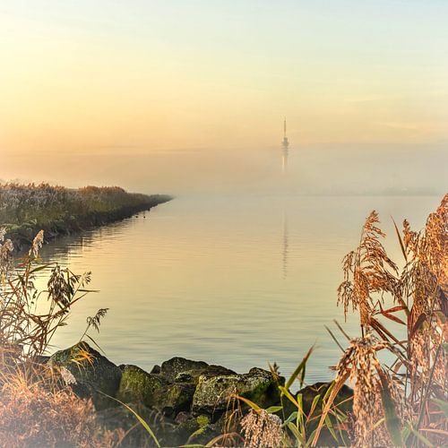 L'heure d'or sur l'IJsselmeer.