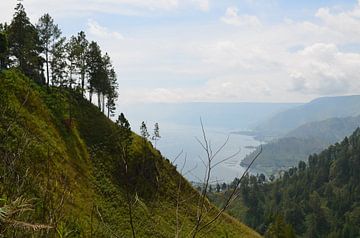 Uitzicht op een tropisch dal in Indonesië van Laura