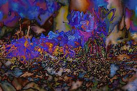 Dance of colours by Photoart-Naegele