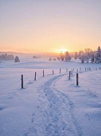 Snowy Winter Landscape Sunset by Markus Gann