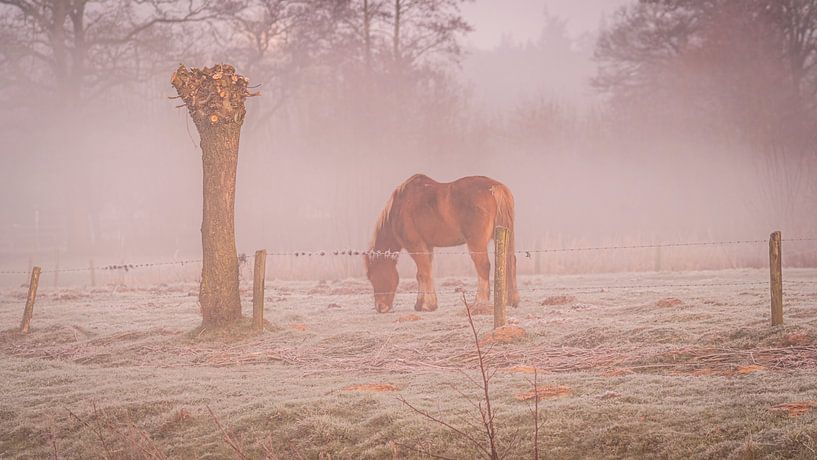 Ein nebliger Morgen am Fluss Mark von Peter Smeekens