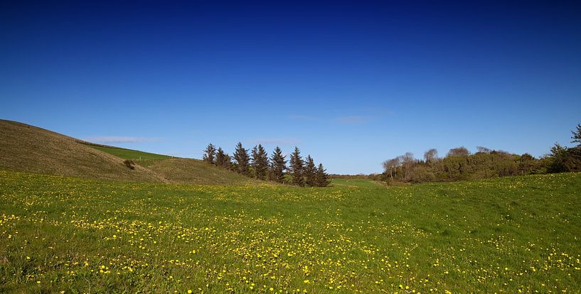 Landschap in Denemarken van Bo Valentino