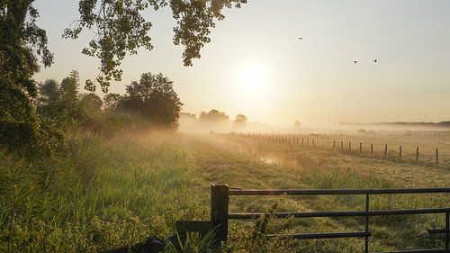 The morning dawns by Dirk van Egmond