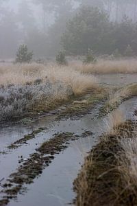 Wet path