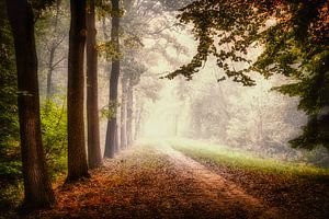 Breda Liesbos im Nebel