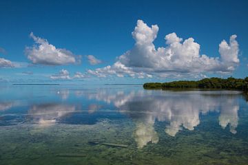 Spiegelend water landschap in Florida van Michèle Huge